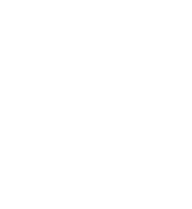 Chaya African Hair Braiding Logo Transparent